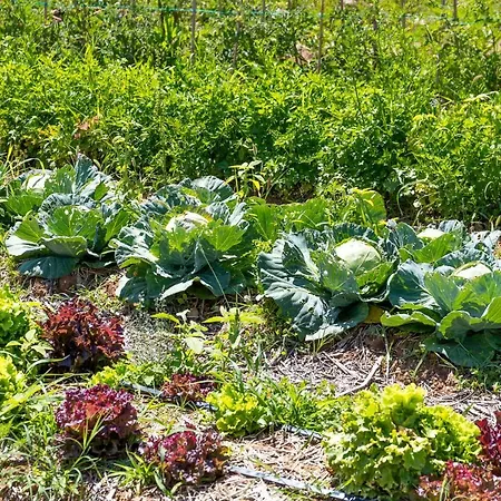 Casa Viva 4* Marciaga