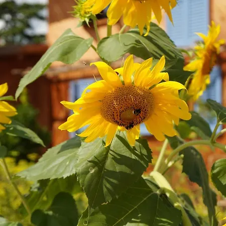 Bed & Breakfast Casa Viva Marciaga