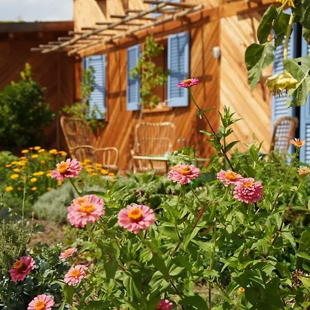 Casa Viva Отель типа 