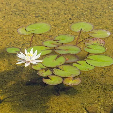 Casa Viva Frühstückspension Marciaga