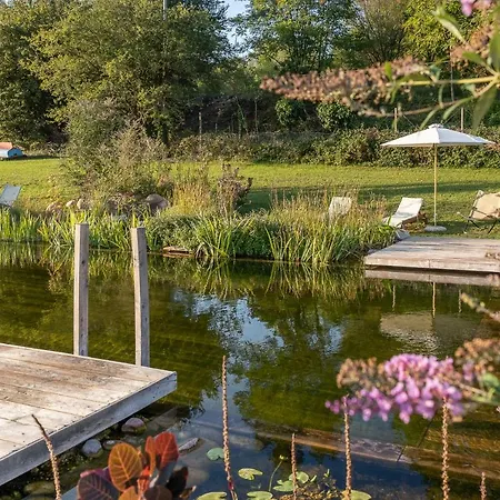 Casa Viva 마르시아가