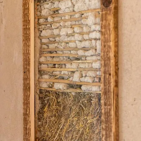 Casa Viva Panzió 4*