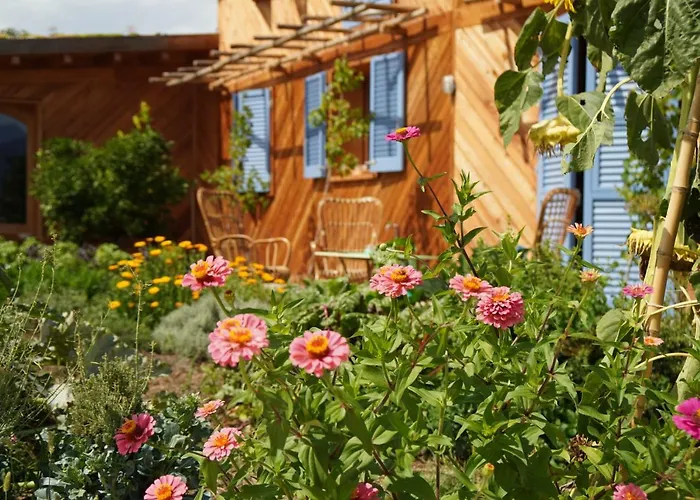 Casa Viva Отель типа 